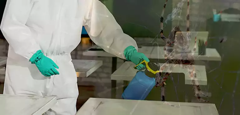 Why Buyers Still Want Homes With Pest Infestations in Sterling Heights, MI?