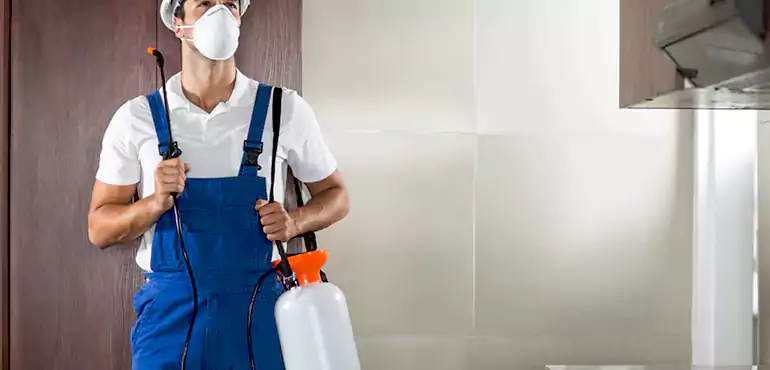 Why Sterling Heights Homeowners Choose Us When Pests Make Selling Difficult